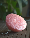 Konjac Sponge | Biodegradable Facial Sponge for Exfoliation